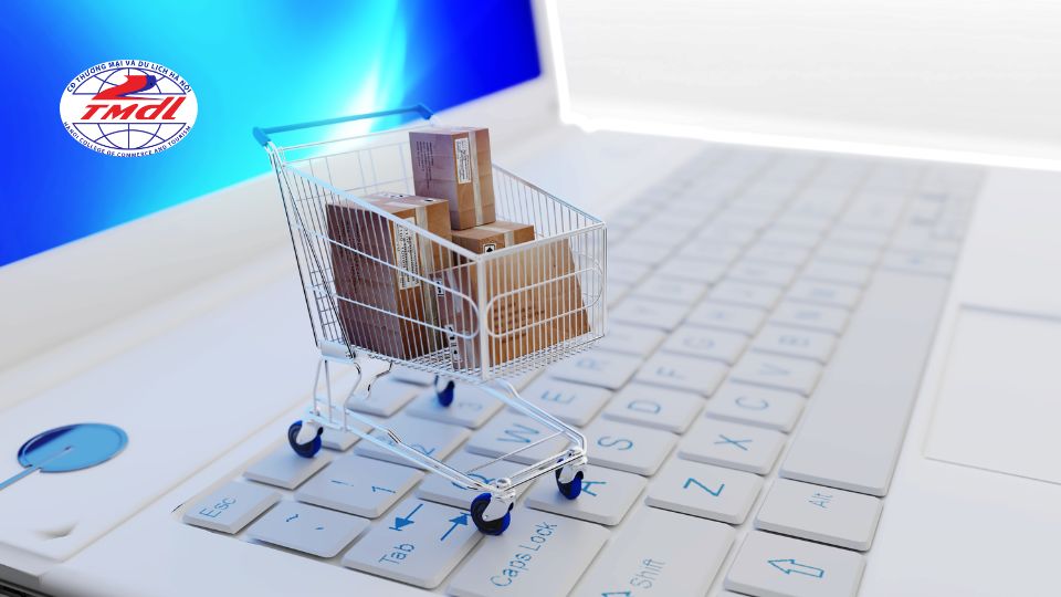 cac san thuong mai dien tu o viet nam