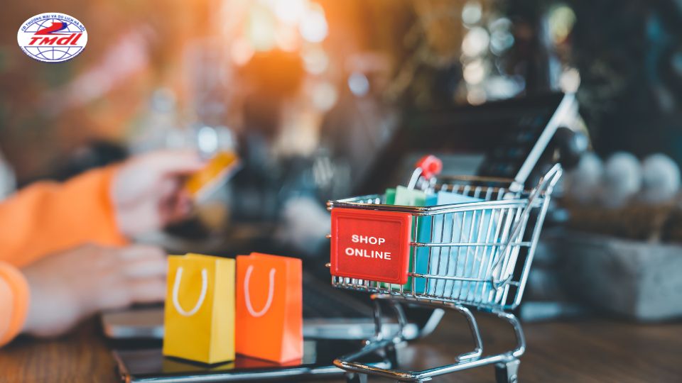 nganh thuong mai dien tu ra truong lam gi