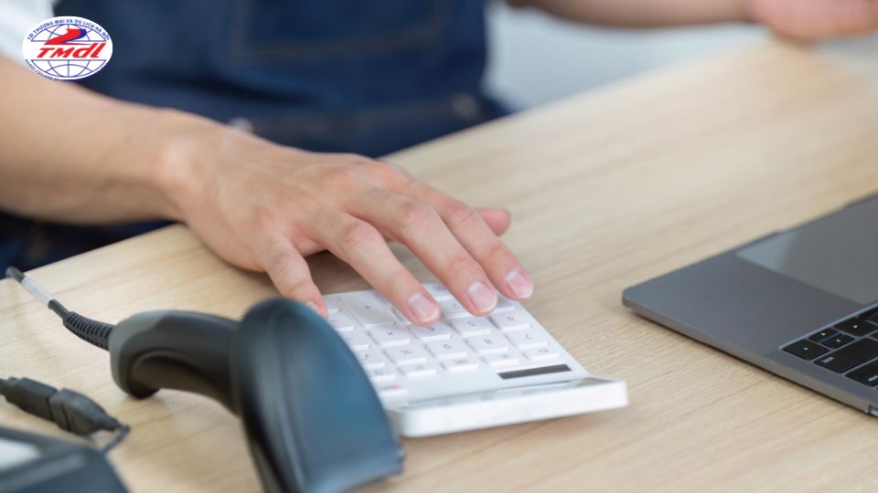 nganh thuong mai dien tu ra truong lam gi