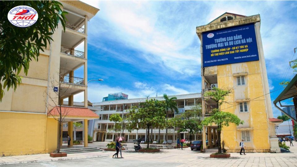 nganh thuong mai dien tu ra truong lam gi